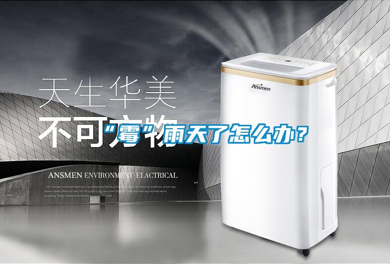 “霉”雨天了怎么辦？
