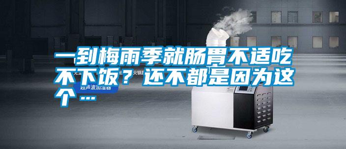 一到梅雨季就腸胃不適吃不下飯？還不都是因?yàn)檫@個…