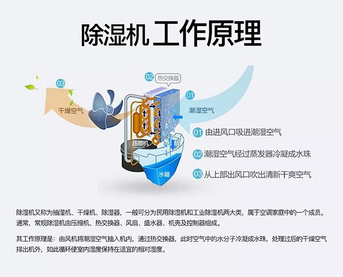 對抗梅雨天，絕不認輸！