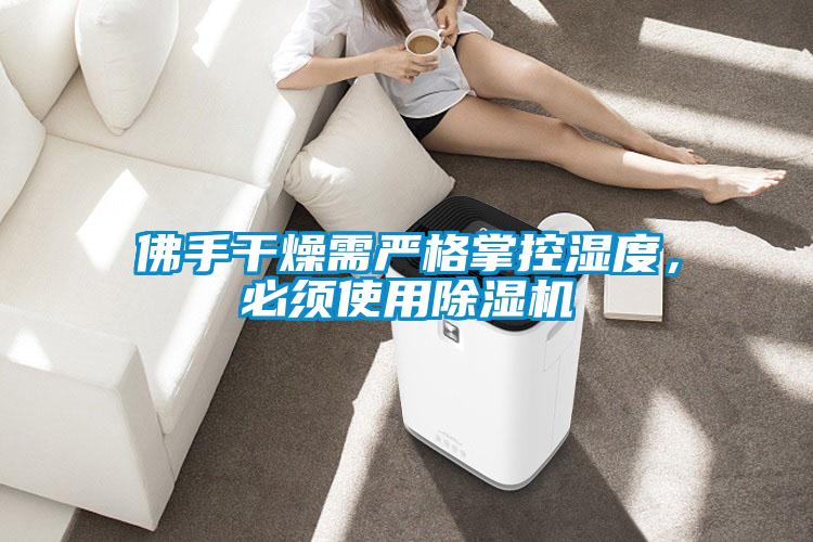 佛手干燥需嚴(yán)格掌控濕度，必須使用除濕機(jī)