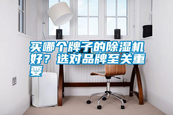 買哪個牌子的除濕機好？選對品牌至關重要