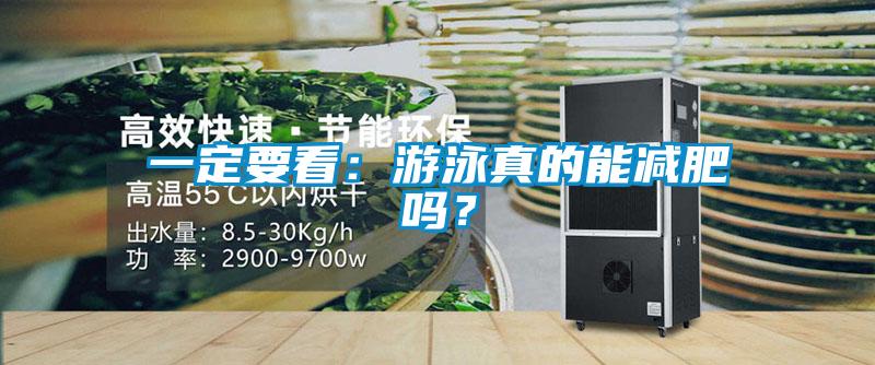 一定要看：游泳真的能減肥嗎？