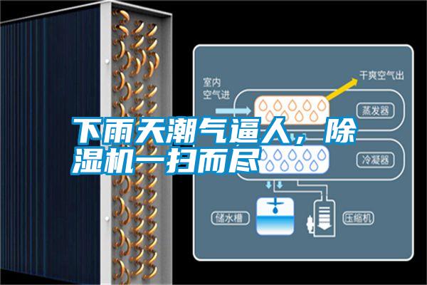 下雨天潮氣逼人，除濕機(jī)一掃而盡
