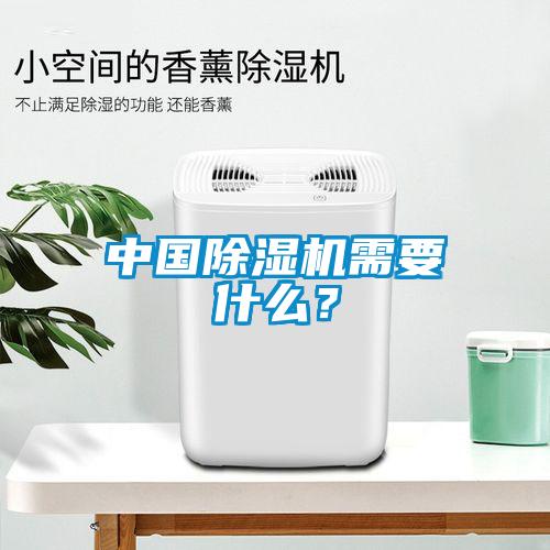 中國除濕機需要什么？