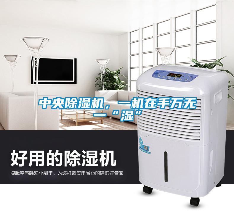 中央除濕機(jī)，一機(jī)在手萬無一“濕”