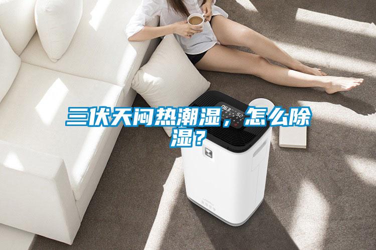 三伏天悶熱潮濕，怎么除濕？