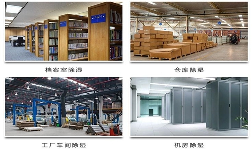 為什么竹筍烘干房需要除濕機？