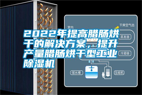 2022年提高臘腸烘干的解決方案，提升產量臘腸烘干型工業(yè)除濕機