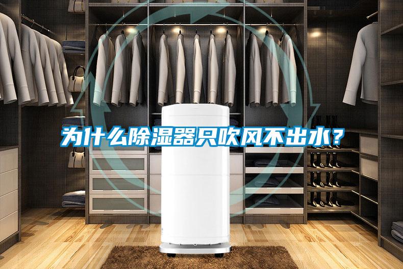 為什么除濕器只吹風(fēng)不出水？