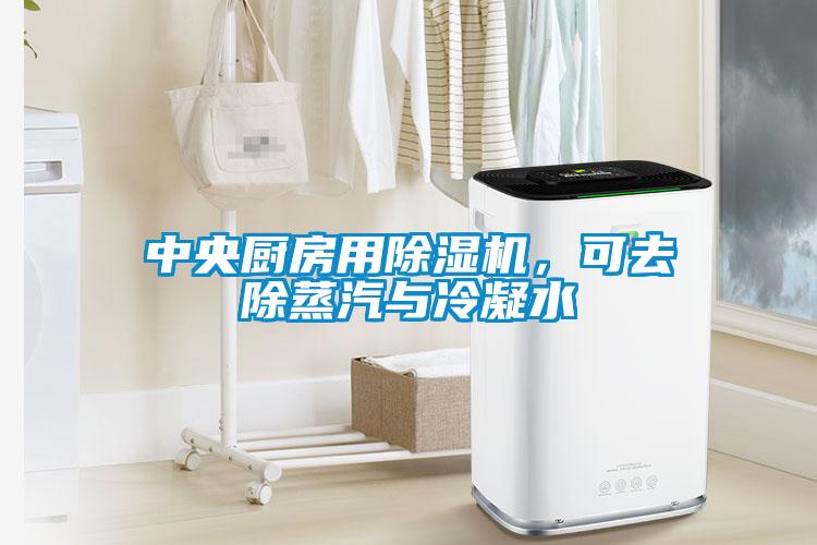 中央廚房用除濕機(jī)，可去除蒸汽與冷凝水