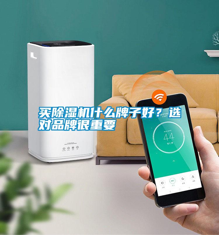 買除濕機(jī)什么牌子好？選對(duì)品牌很重要