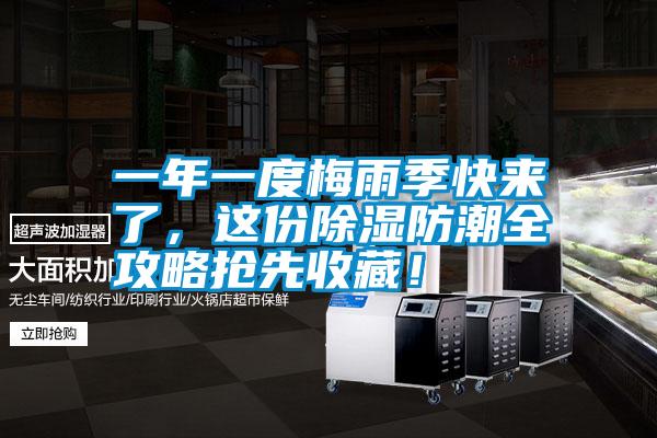 一年一度梅雨季快來了，這份除濕防潮全攻略搶先收藏！