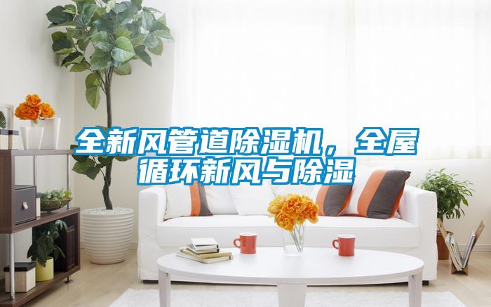全新風管道除濕機，全屋循環(huán)新風與除濕
