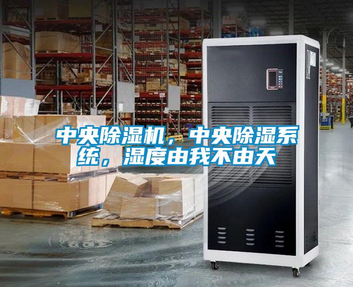 中央除濕機(jī)，中央除濕系統(tǒng)，濕度由我不由天
