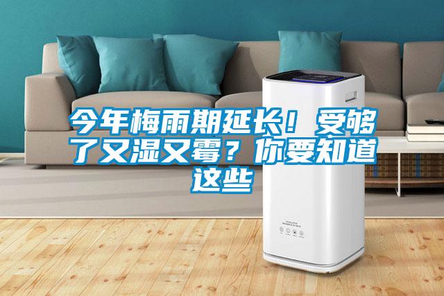 今年梅雨期延長(zhǎng)！受夠了又濕又霉？你要知道這些