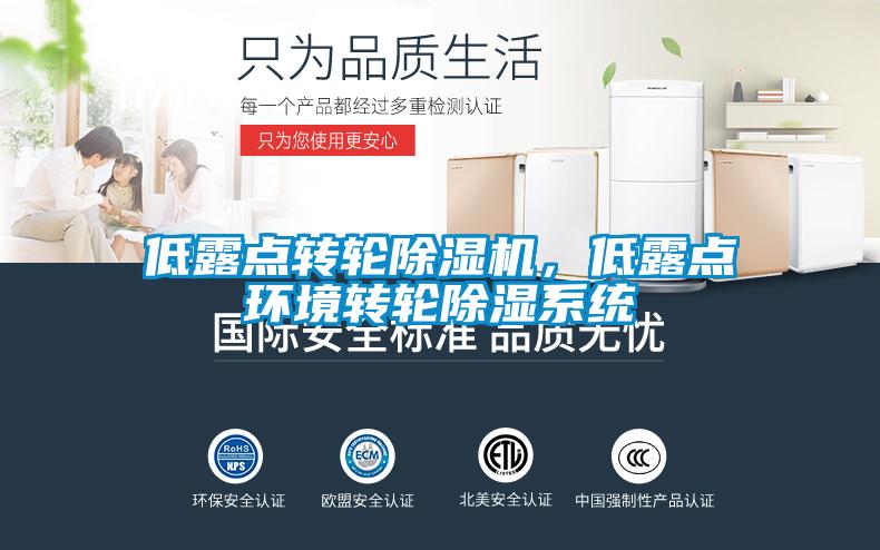 低露點(diǎn)轉(zhuǎn)輪除濕機(jī)，低露點(diǎn)環(huán)境轉(zhuǎn)輪除濕系統(tǒng)