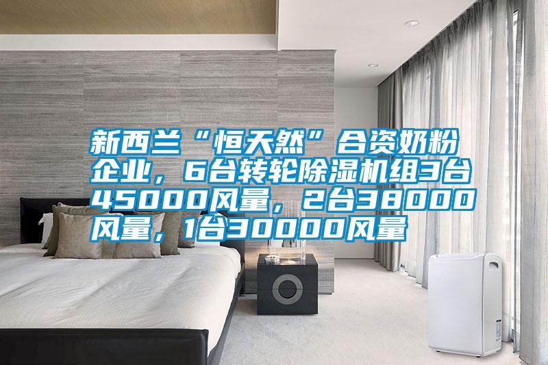 新西蘭“恒天然”合資奶粉企業(yè)，6臺轉輪除濕機組3臺45000風量，2臺38000風量，1臺30000風量