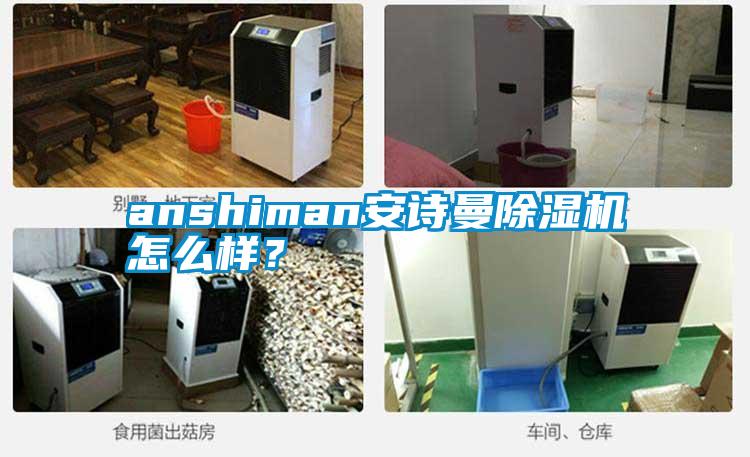 anshiman安詩曼除濕機怎么樣？