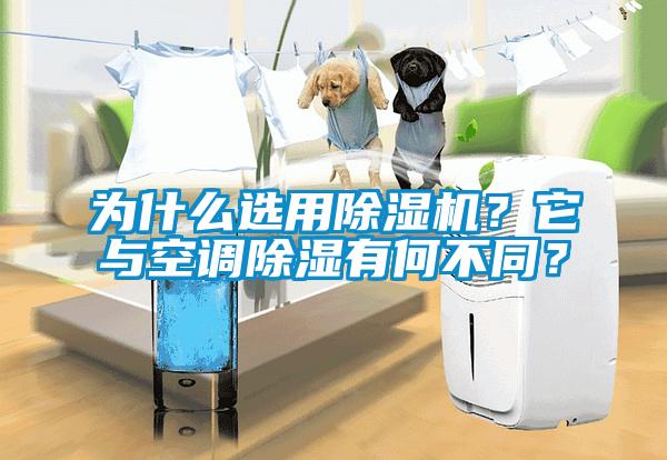 為什么選用除濕機(jī)？它與空調(diào)除濕有何不同？