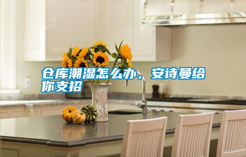 倉庫潮濕怎么辦，安詩曼給你支招