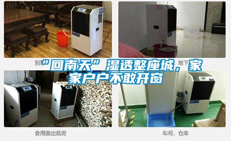 “回南天”濕透整座城，家家戶戶不敢開窗
