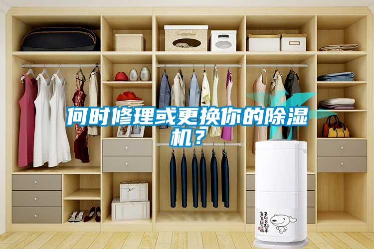 何時(shí)修理或更換你的除濕機(jī)？