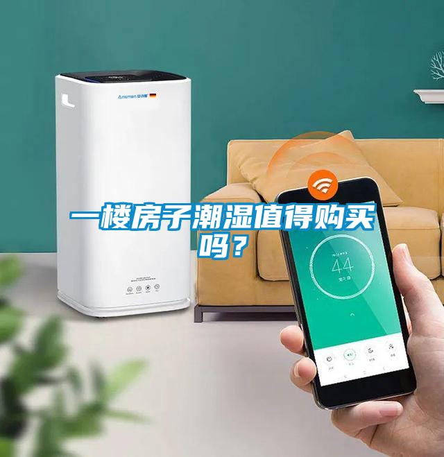 一樓房子潮濕值得購買嗎？