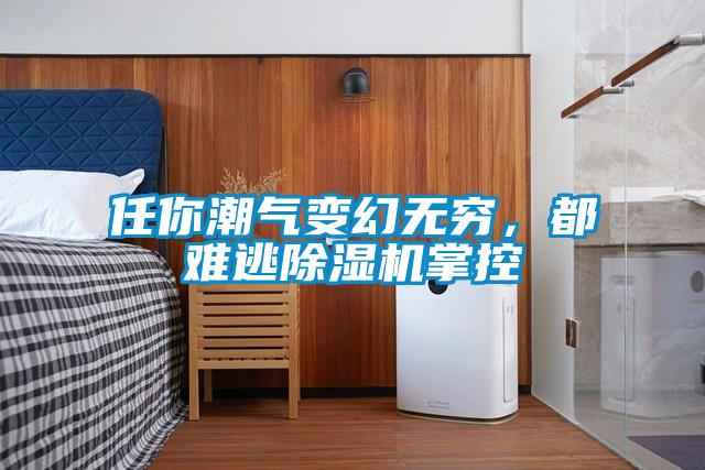 任你潮氣變幻無(wú)窮，都難逃除濕機(jī)掌控
