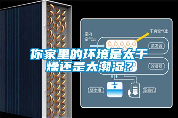 你家里的環(huán)境是太干燥還是太潮濕？