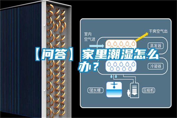 【問答】家里潮濕怎么辦？