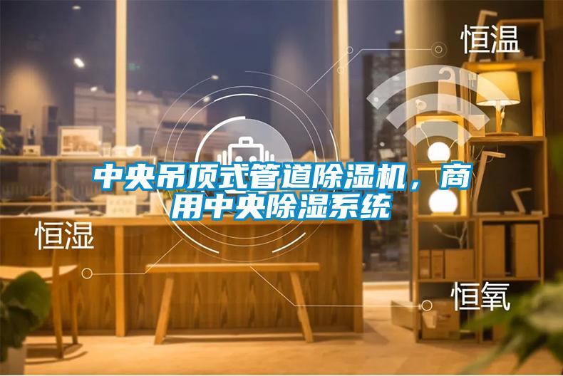 中央吊頂式管道除濕機(jī)，商用中央除濕系統(tǒng)
