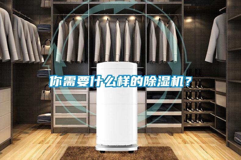 你需要什么樣的除濕機？