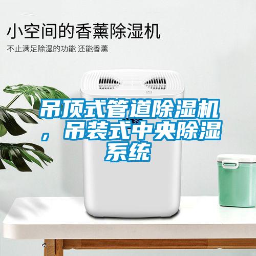 吊頂式管道除濕機(jī)，吊裝式中央除濕系統(tǒng)