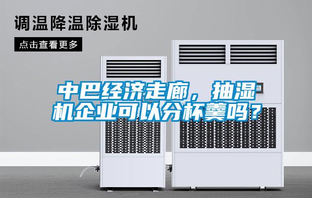 中巴經(jīng)濟(jì)走廊，抽濕機(jī)企業(yè)可以分杯羹嗎？