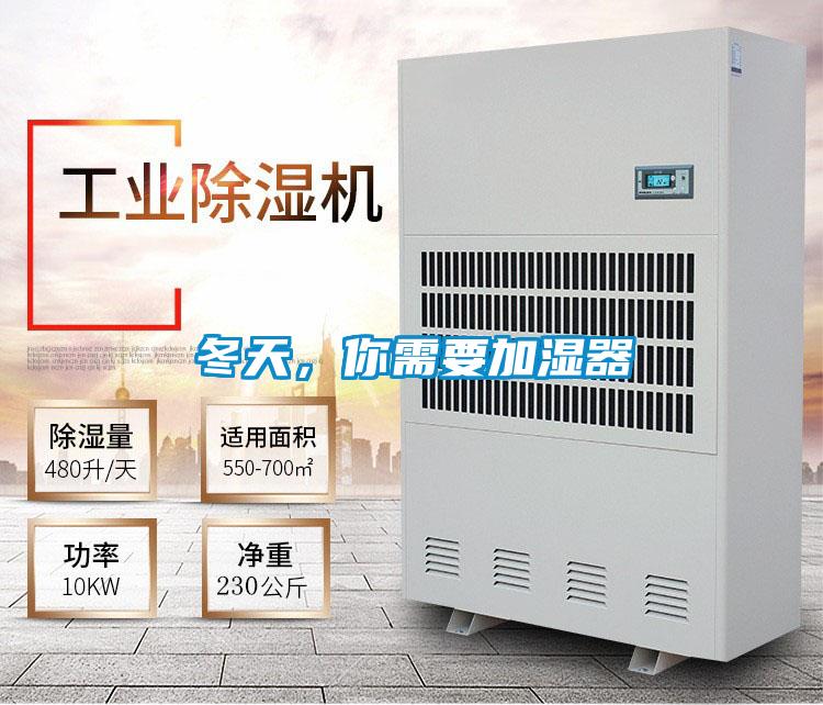 冬天，你需要加濕器