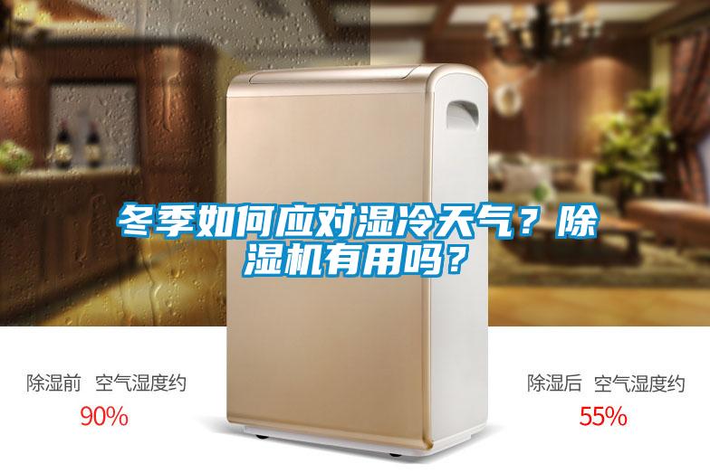 冬季如何應(yīng)對濕冷天氣？除濕機有用嗎？