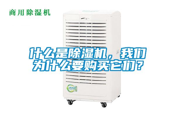 什么是除濕機(jī)，我們?yōu)槭裁匆徺I它們？