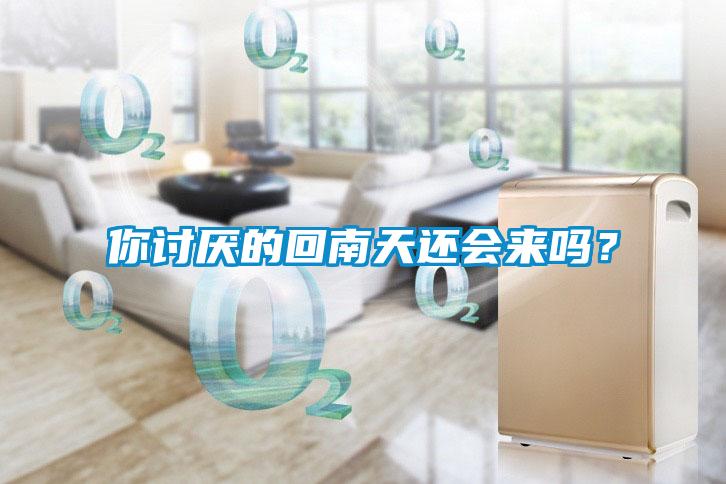 你討厭的回南天還會(huì)來(lái)嗎？