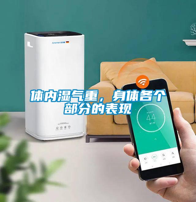 體內(nèi)濕氣重，身體各個部分的表現(xiàn)