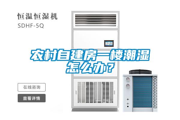 農(nóng)村自建房一樓潮濕怎么辦？