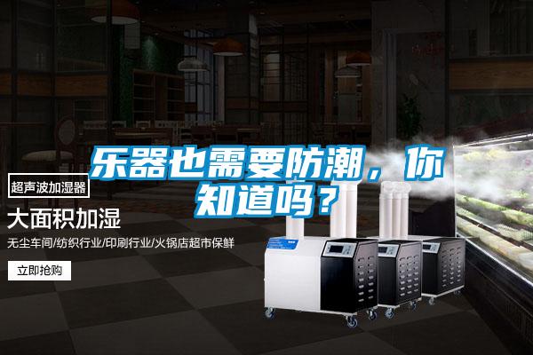 樂器也需要防潮，你知道嗎？