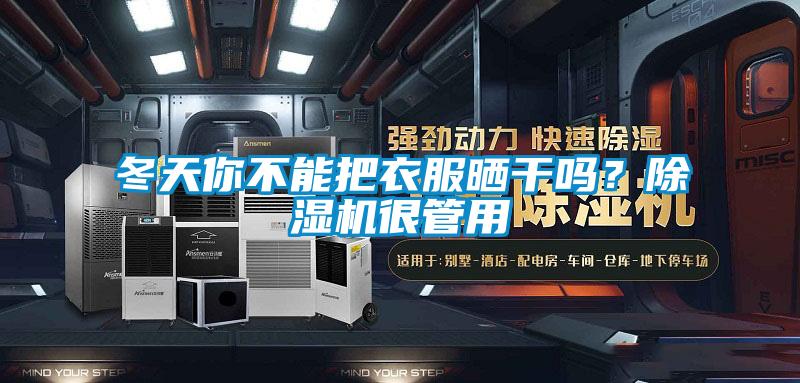 冬天你不能把衣服曬干嗎？除濕機很管用