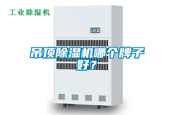 吊頂除濕機哪個牌子好？