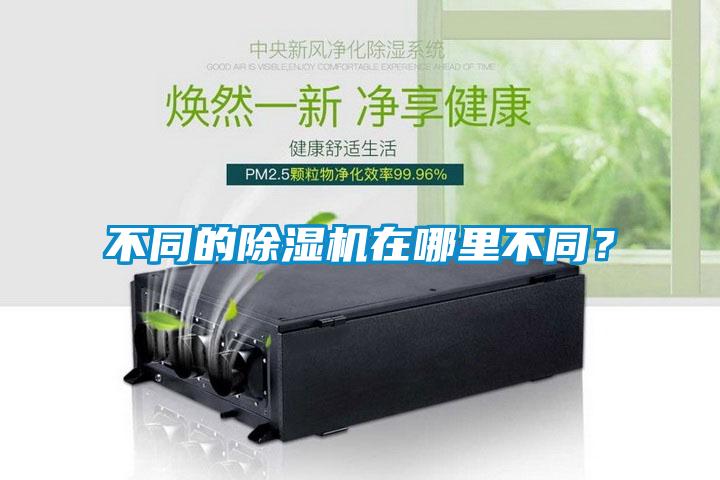 不同的除濕機在哪里不同？