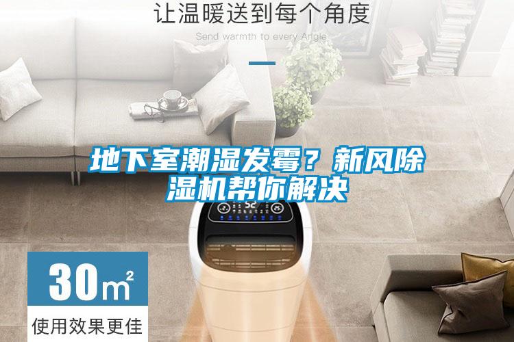 地下室潮濕發(fā)霉？新風除濕機幫你解決