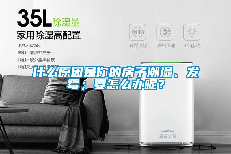 什么原因是你的房子潮濕、發(fā)霉；要怎么辦呢？