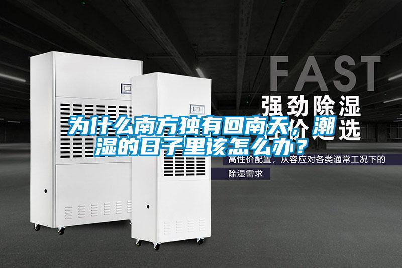 為什么南方獨(dú)有回南天，潮濕的日子里該怎么辦？