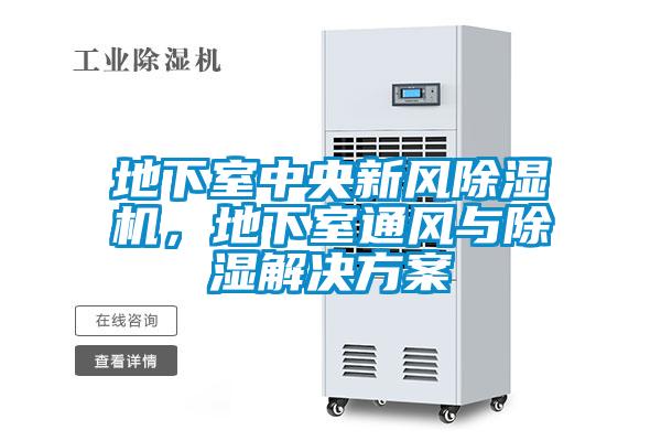 地下室中央新風(fēng)除濕機(jī)，地下室通風(fēng)與除濕解決方案