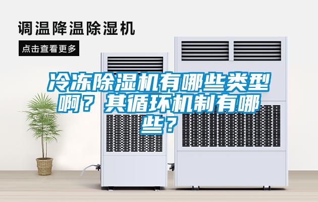 冷凍除濕機有哪些類型啊？其循環(huán)機制有哪些？