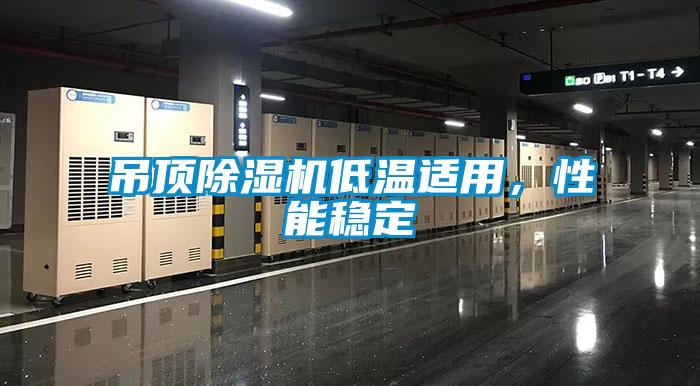 吊頂除濕機低溫適用，性能穩(wěn)定